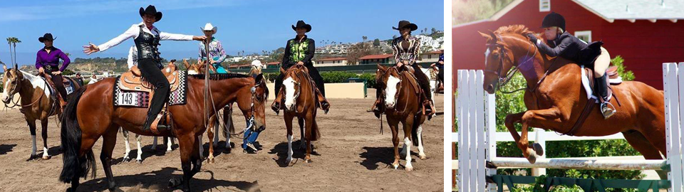 rodeo horse riding