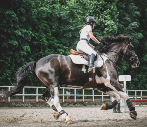 riding lesson