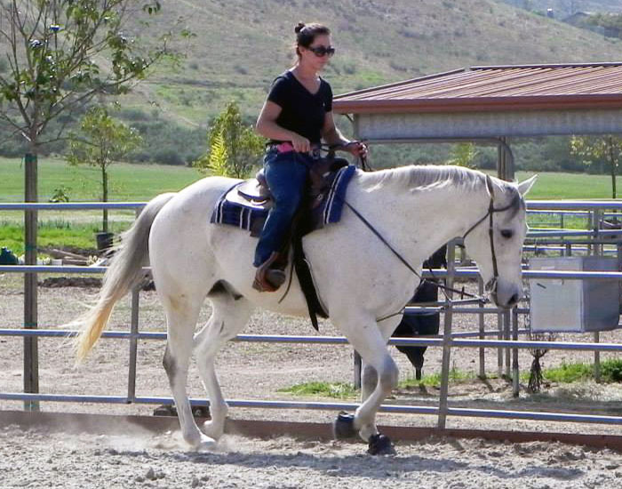 riding lesson