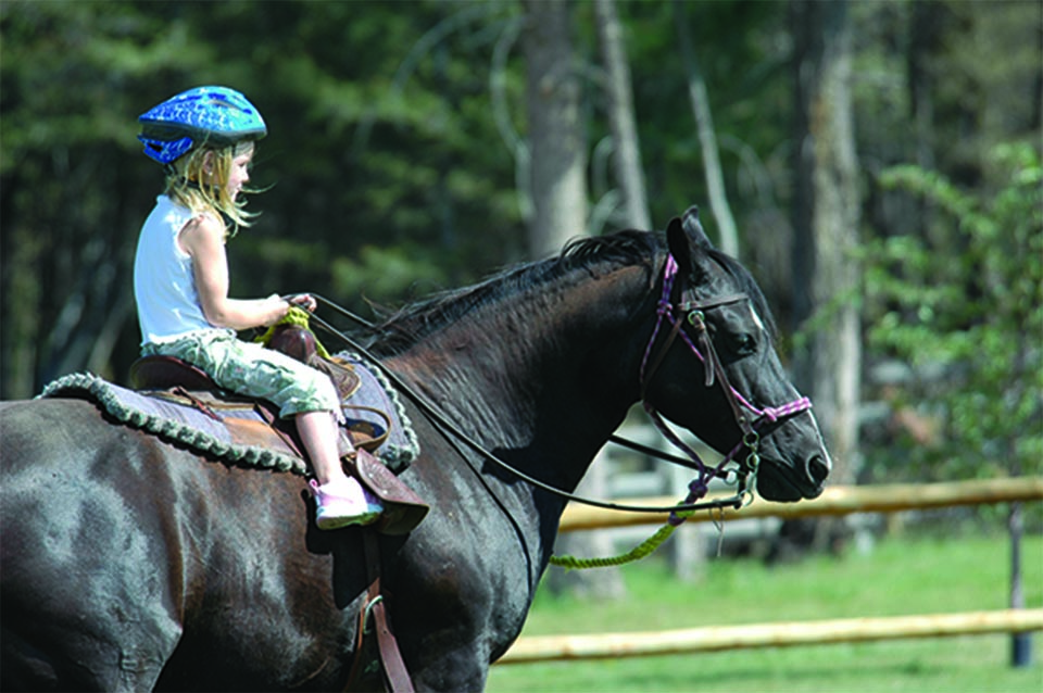 novice rider